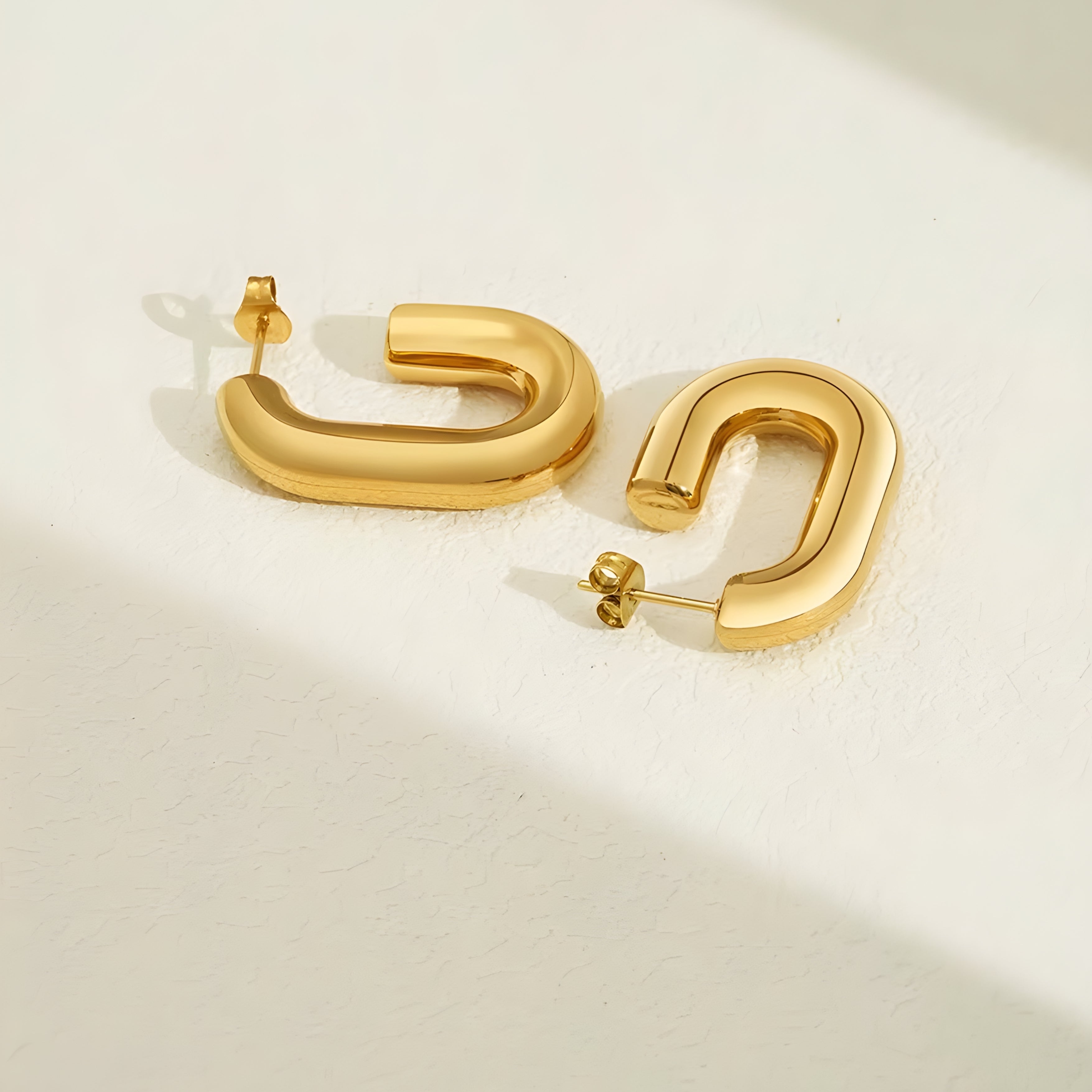 Lunox Sculpted Loop Earrings